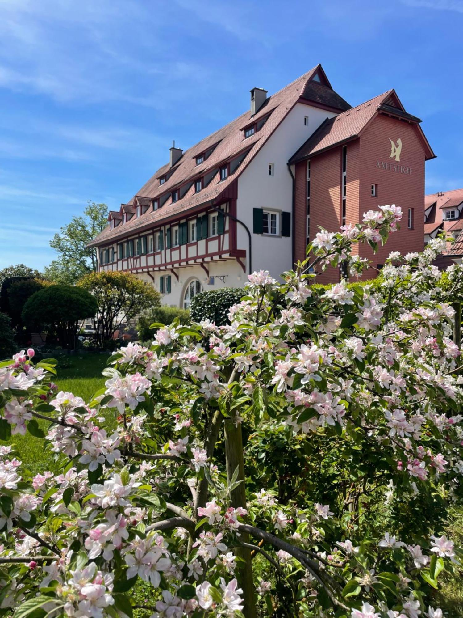 Seehotel Amtshof Langenargen Exterior photo